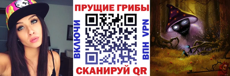 blacksprut tor  Егорьевск  Галлюциногенные грибы Cubensis 